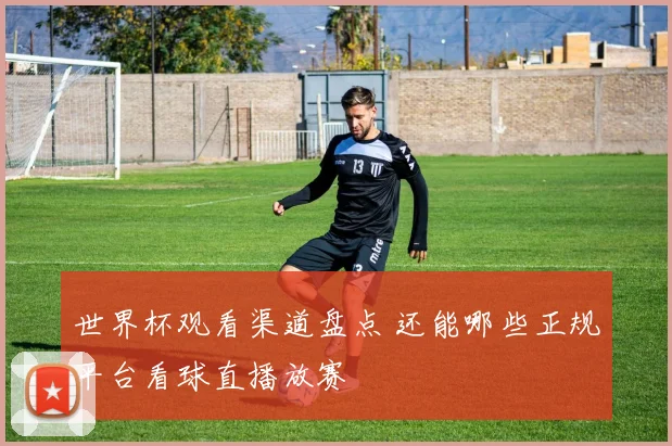 世界杯观看渠道盘点 还能哪些正规平台看球直播放赛