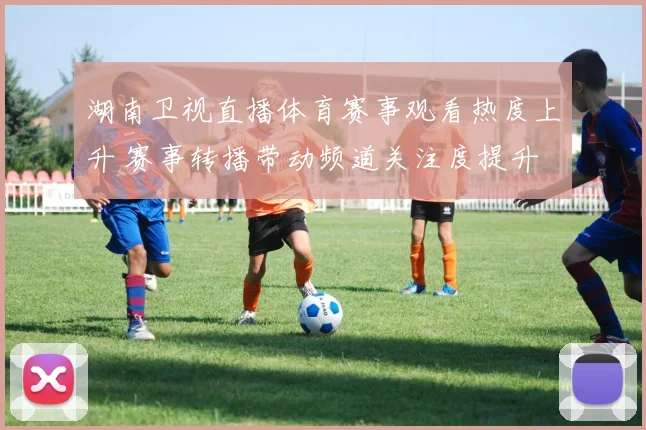湖南卫视直播体育赛事观看热度上升 赛事转播带动频道关注度提升