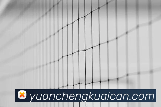 App Interface Preview